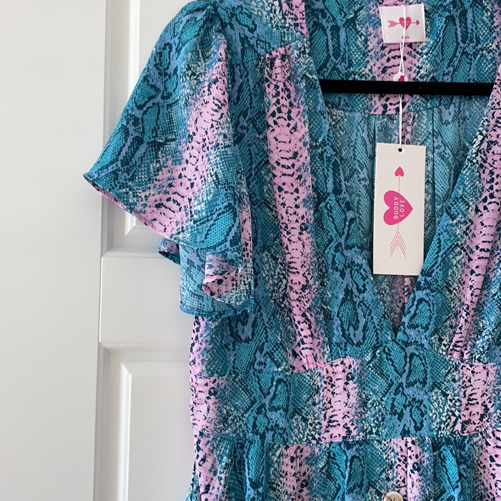 BuddyLove dress - Picture 4 of 4